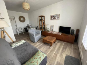 Charmant T2 à 100m de la plage avec terrasse, parking privé et animaux admis - FR-1-324A-62
